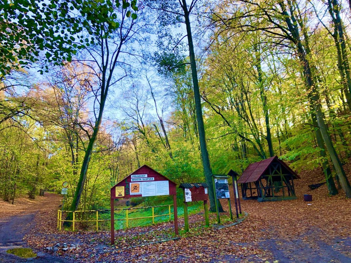 Las Slupski Premium Business Apartament Nr 7 Wifi Netflix Smart Tv50 Two Bedrooms Two Extra Large Double Beds Up To 6 People Full Pleasure Quality Stay (Adults Only) Exteriör bild